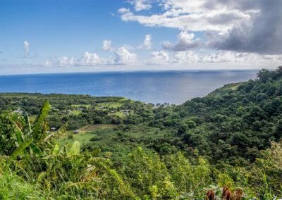 Island Valley