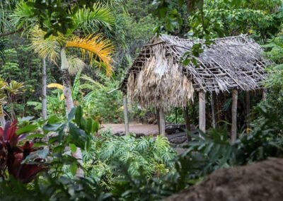 jungle hut