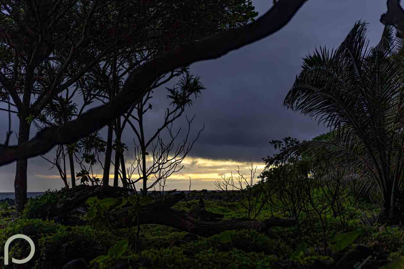 early morning sunrise