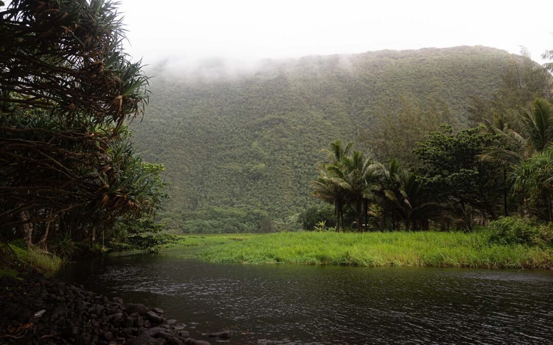 A Grueling Hike to Waimanu Valley