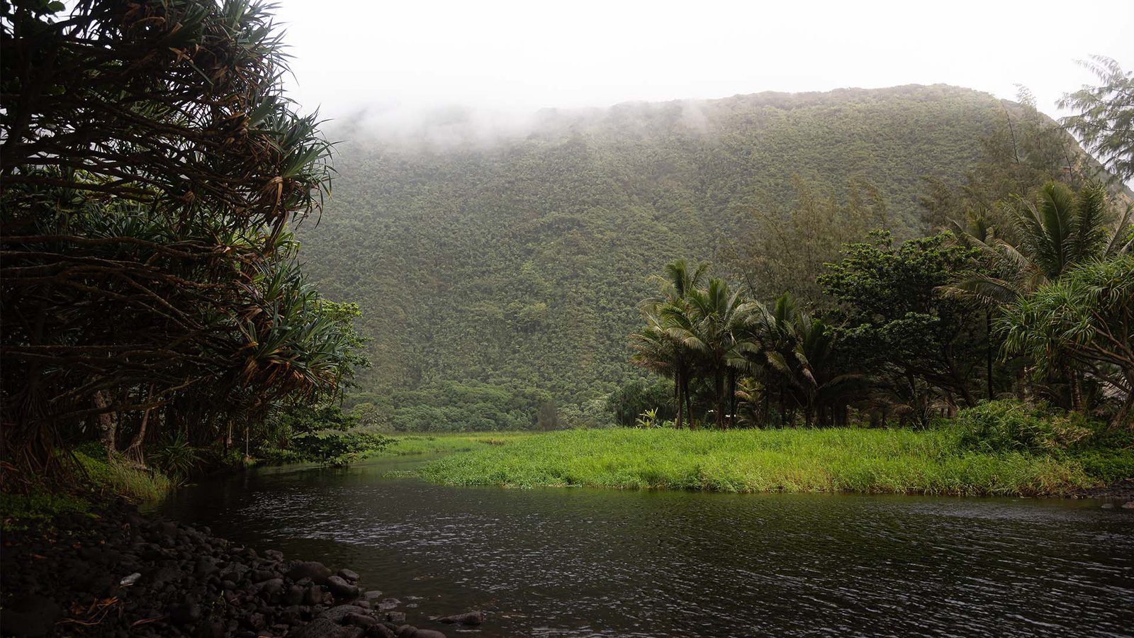 Waimanu Valley river and mountain side